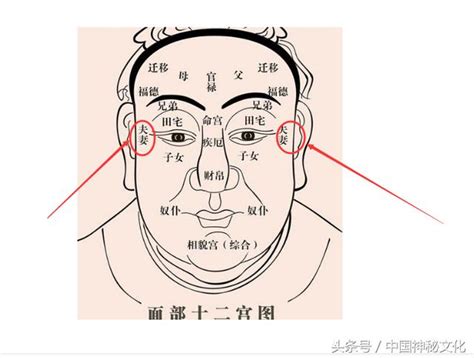 面相夫妻宮怎麼看|揭祕夫妻宮面相：如何解讀面相特徵以預測婚姻運勢與伴侶關係